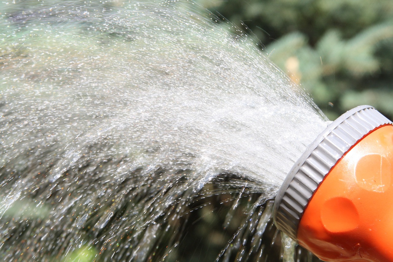 How to Create a Garden That Grows Year-Round